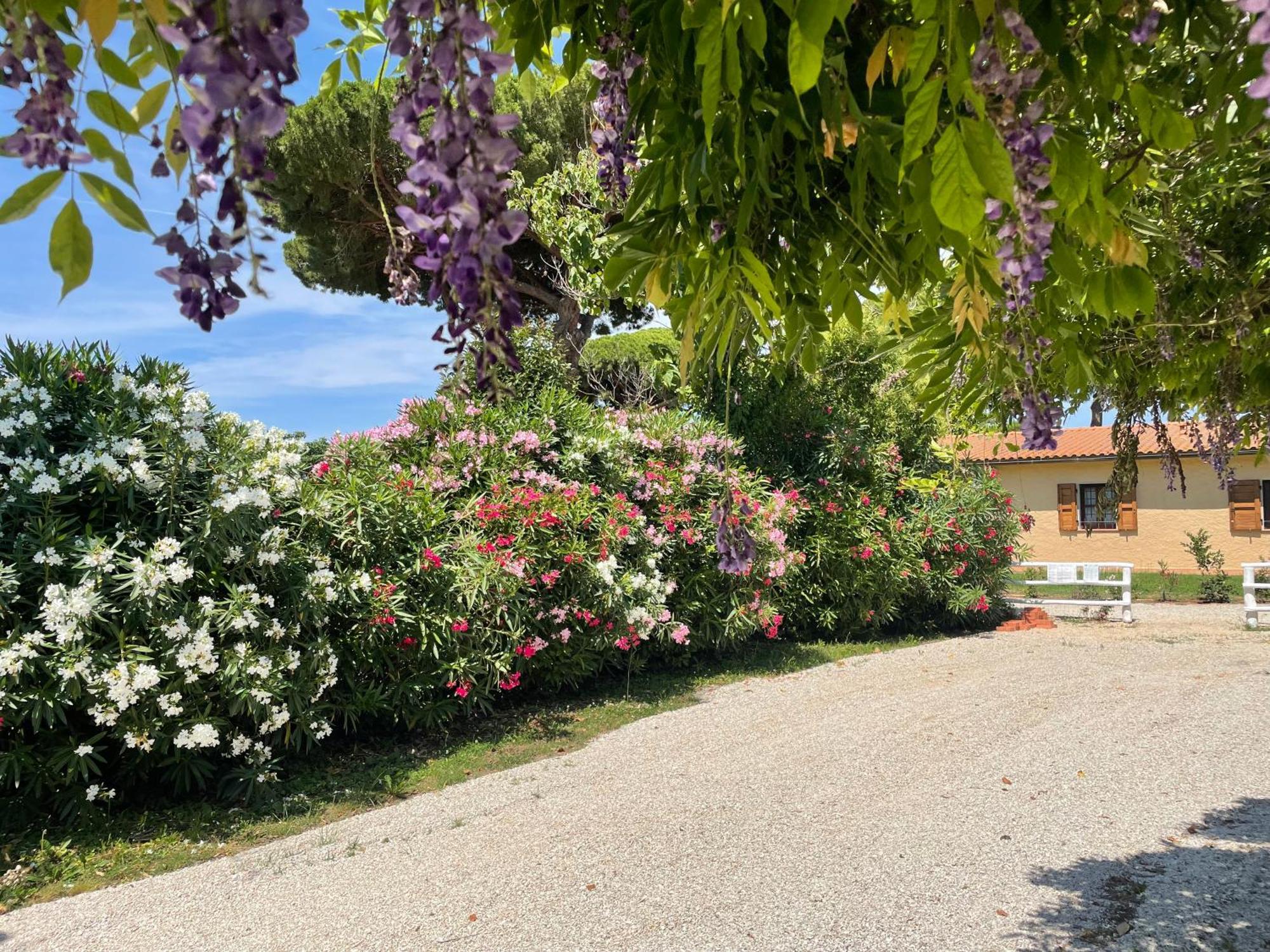 Agriturismo La Valle - By Podere Arundineto Castagneto Carducci Exterior foto