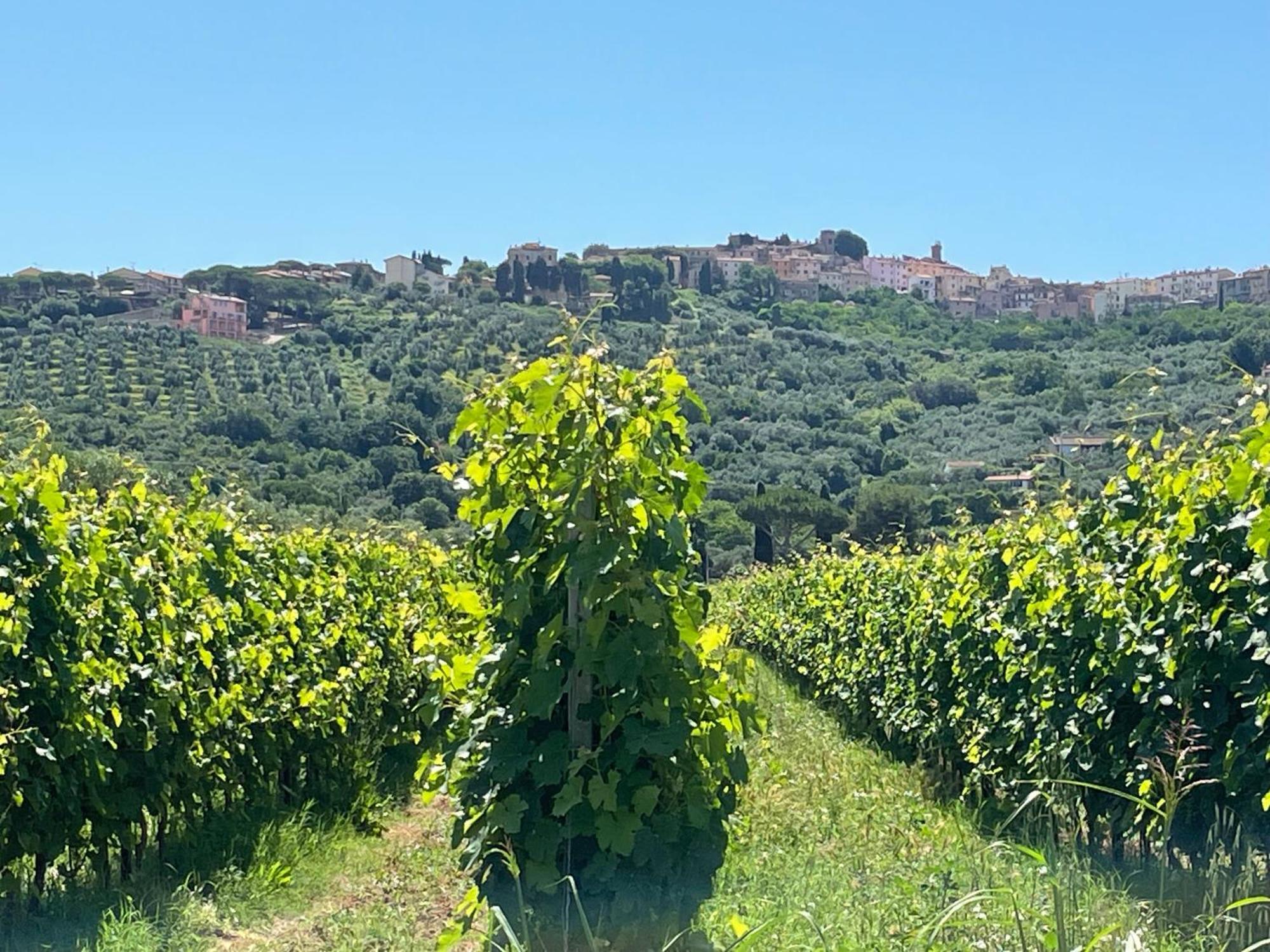 Agriturismo La Valle - By Podere Arundineto Castagneto Carducci Exterior foto